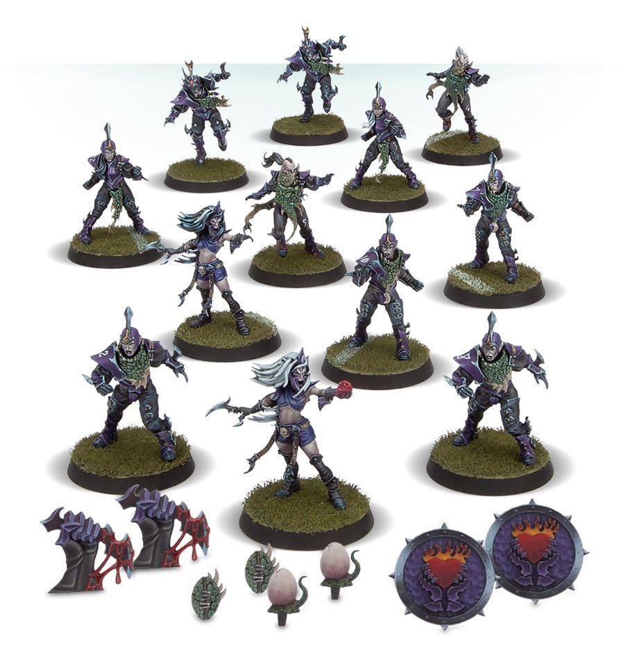 Dark Elf Blood Bowl Team: Naggaroth Nightmares