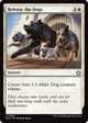 Release the Dogs (FDN-580) - Foundations