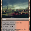 Bloodsoaked Insight (MH3-252) - Modern Horizons 3