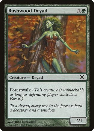Rushwood Dryad (10E-294) - 10th Edition Foil