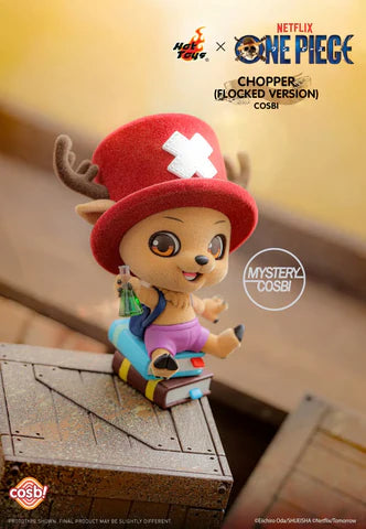 Hot Toys x COSBI - One Piece Netflix Series Figure Blind Box