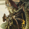 Outcaster Trailblazer // Outcaster Trailblazer (AOTJ-014) - Outlaws of Thunder Junction Art Series (Borderless)