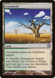 Grasslands (DDG-035) - Duel Decks: Knights vs. Dragons