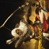 Bayek of Siwa Art Card (Gold-Stamped Signature) (ASACR-016) - Assassin's Creed Art Series (Borderless)