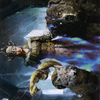Kolvori, God of Kinship // Kolvori, God of Kinship (ASKHM-048) - Art Series: Kaldheim (Borderless) Foil