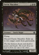 Faerie Macabre (DDD-042) - Duel Decks: Garruk vs. Liliana