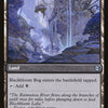 Blackbloom Rogue // Blackbloom Bog [Zendikar Rising]
