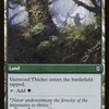 Vastwood Fortification (ZNR-216) - Zendikar Rising