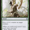 Vastwood Fortification (ZNR-216) - Zendikar Rising