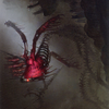 Drivnod, Carnage Dominus // Drivnod, Carnage Dominus (AONE-020) - Phyrexia: All Will Be One Art Series (Borderless)