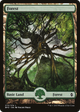 Forest (273) - Full Art (BFZ-273) - Battle for Zendikar