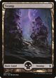 Swamp (263) - Full Art (BFZ-263) - Battle for Zendikar