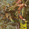 Generous Ent // Generous Ent (ALTR-011) - Tales of Middle-earth Art Series (Borderless) Foil
