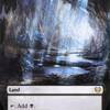 Darkbore Pathway (Borderless) (KHM-292) - Kaldheim: (Showcase) (Borderless)