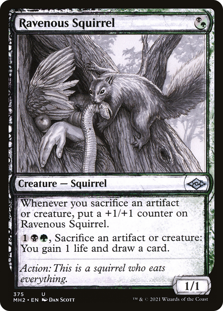 Ravenous Squirrel (Showcase) (MH2-375) - Modern Horizons 2: (Showcase) Foil
