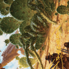 Cactarantula // Cactarantula (AOTJ-012) - Outlaws of Thunder Junction Art Series (Borderless) Foil