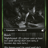 Bird Admirer (DBL-169) - Innistrad: Double Feature: (Double Faced Transform) Foil