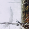 Swamp // Swamp (ADMU-064) - Dominaria United Art Series (Borderless) Foil