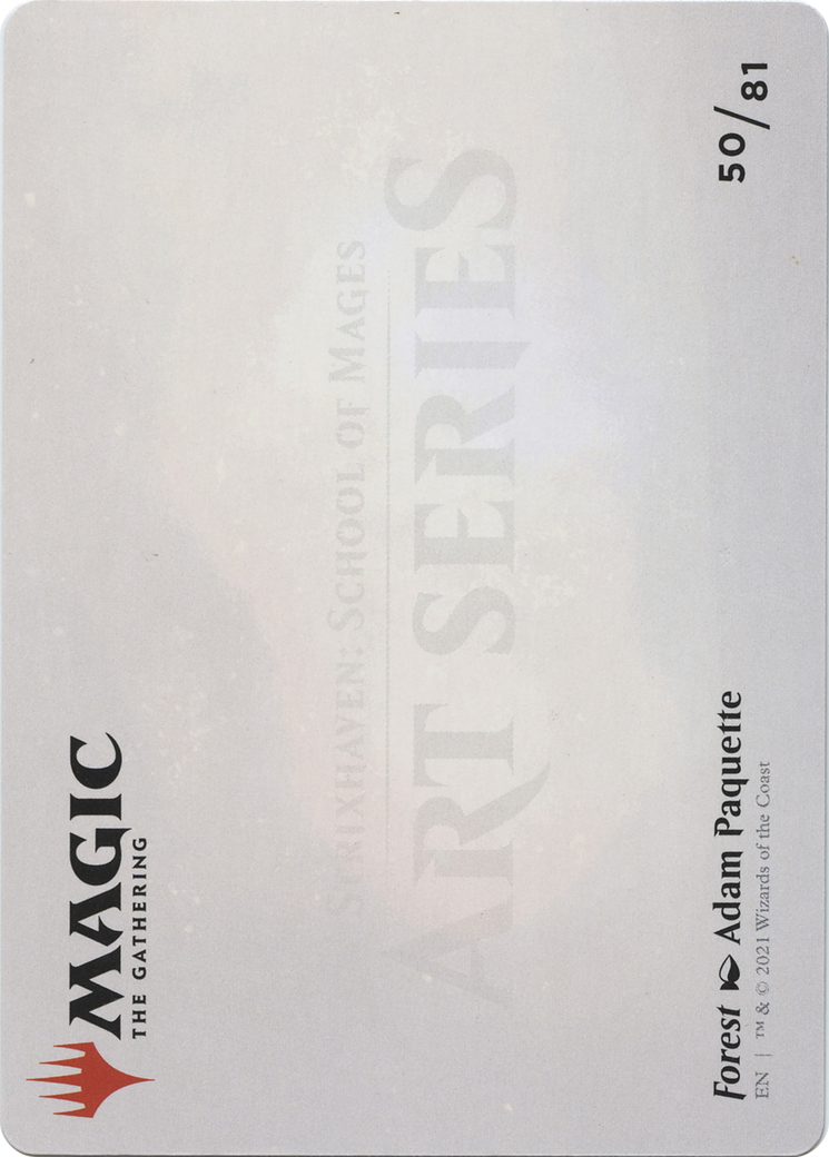 Forest // Forest (ASTX-050) - Strixhaven Art Series (Borderless) Foil