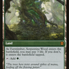 Turntimber Symbiosis (ZNR-215) - Zendikar Rising