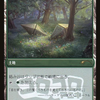Tangled Florahedron (JP Magazine Insert) (MEDIA-001) - Media and Collaboration Promos Foil
