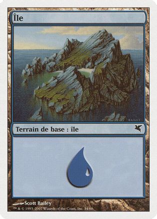 Island (French) - "Ile" (E34) (PSAL-E34) - Magic Encyclopedia 2005 (Salvat/Hachette)
