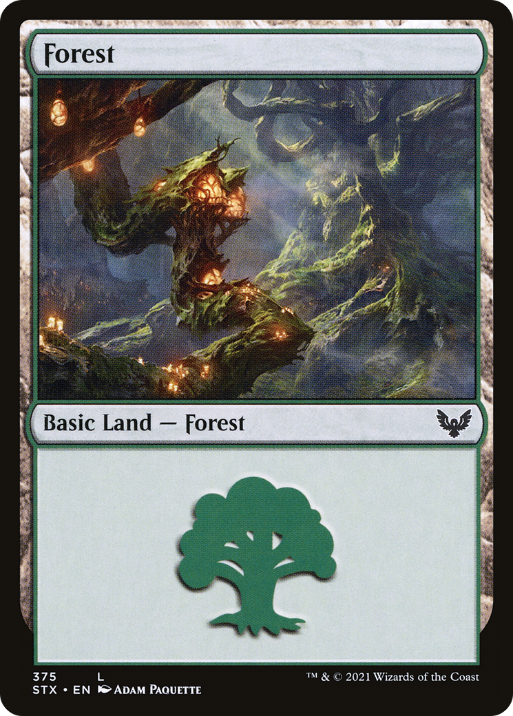 Forest (375) (STX-375) - Strixhaven: School of Mages