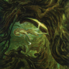 Neverwinter Dryad // Neverwinter Dryad (AAFR-069) - Adventures in the Forgotten Realms Art Series (Borderless) Foil