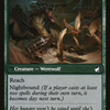 Bird Admirer (MID-169) - Innistrad: Midnight Hunt: (Double Faced Transform)
