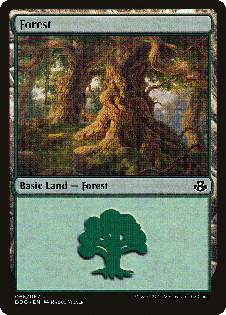 Forest (065) (DDO-065) - Duel Decks: Elspeth vs. Kiora