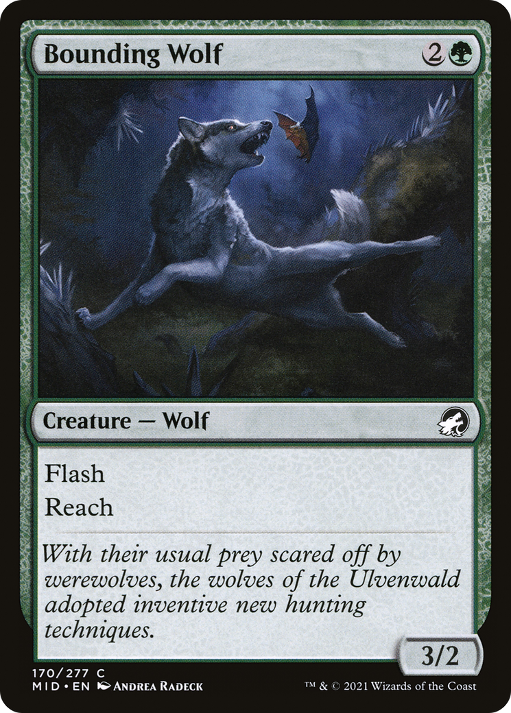 Bounding Wolf (MID-170) - Innistrad: Midnight Hunt Foil