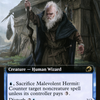 Malevolent Hermit (Extended Art) (MID-336) - Innistrad: Midnight Hunt: (Extended Art, Double Faced Transform) Foil
