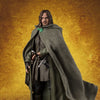 S.H.Figuarts - The Lord of the Rings: The Fellowship of the Ring - Aragorn Action Figure