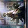 Light-Paws, Emperor's Voice // Light-Paws, Emperor's Voice (ANEO-023) - Neon Dynasty Art Series (Borderless) Foil