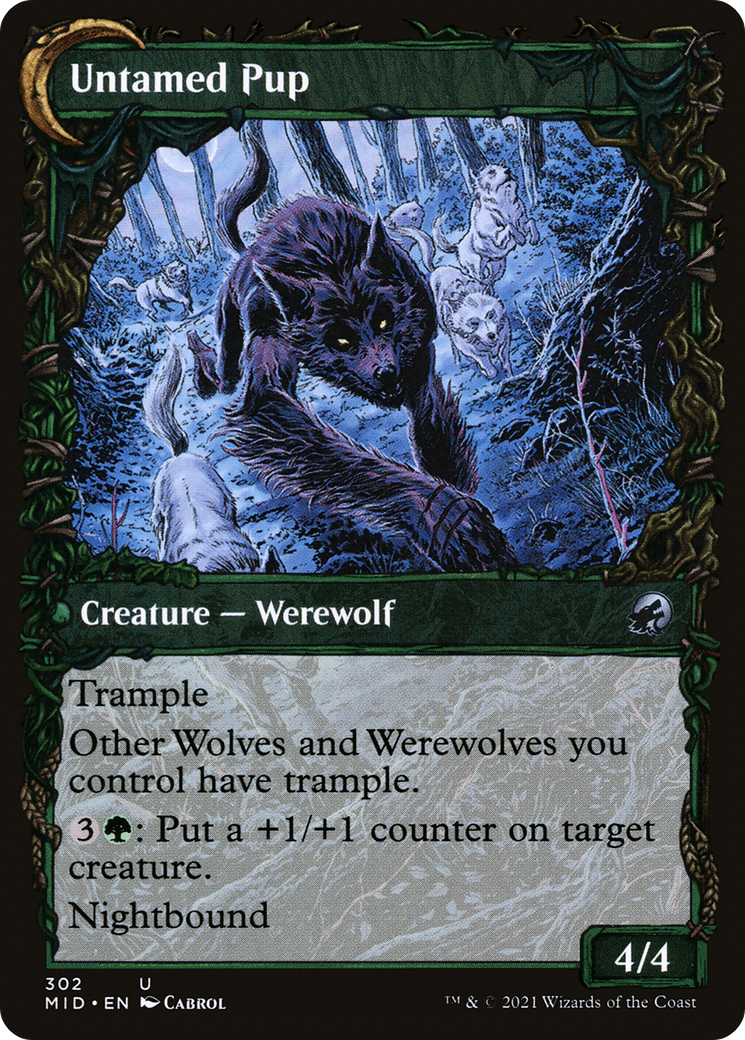 Hound Tamer (Showcase) (MID-302) - Innistrad: Midnight Hunt: (Showcase, Double Faced Transform) Foil