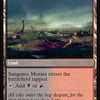 Bloodsoaked Insight // Sanguine Morass [Modern Horizons 3]