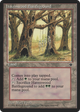 Havenwood Battleground (FEM-) - Fallen Empires
