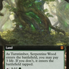 Turntimber Symbiosis (Extended Art) (ZNR-364) - Zendikar Rising: (Extended Art)