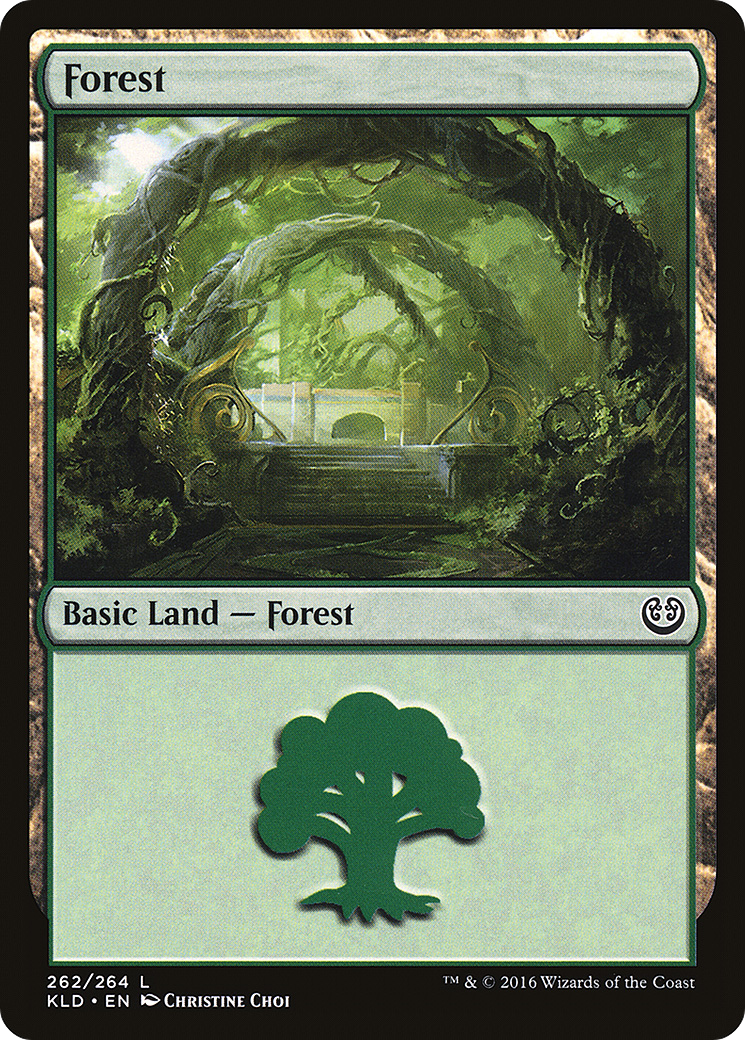 Forest (262) (KLD-262) - Kaladesh Foil