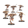 Legio Custodes: Venatari Sodality
