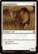 Savannah Lions (FDN-146) - Foundations
