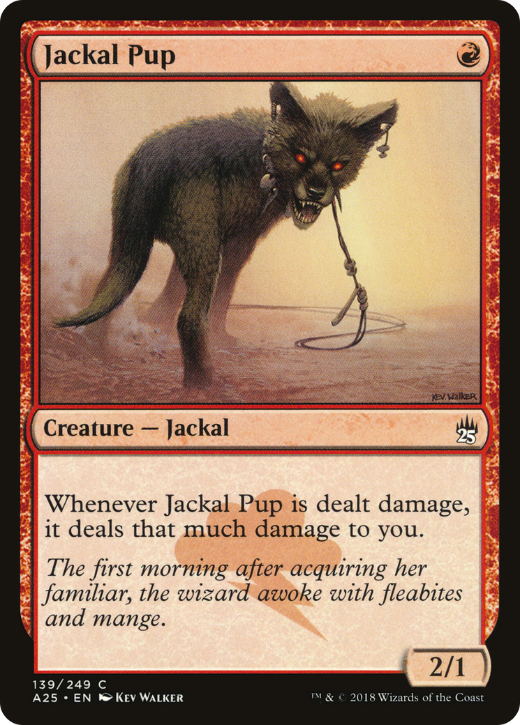 Jackal Pup (A25-139) - Masters 25