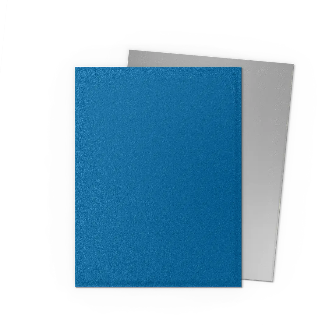 Dragon Shield - Matte Dual Sleeves - Standard Size (100)