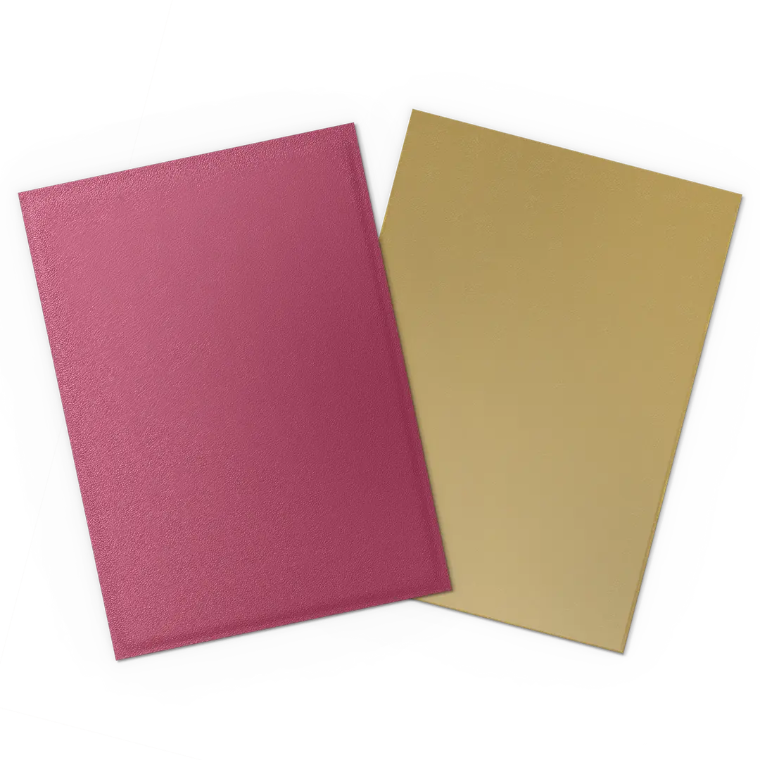 Dragon Shield - Matte Dual Sleeves - Standard Size (100)