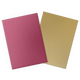 Dragon Shield - Matte Dual Sleeves - Standard Size (100)