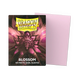 Dragon Shield - Matte Dual Sleeves - Standard Size (100)
