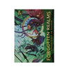 D&D Forgotten Realms: Adventures in Faerûn Adventure Guide (Collector's Edition)
