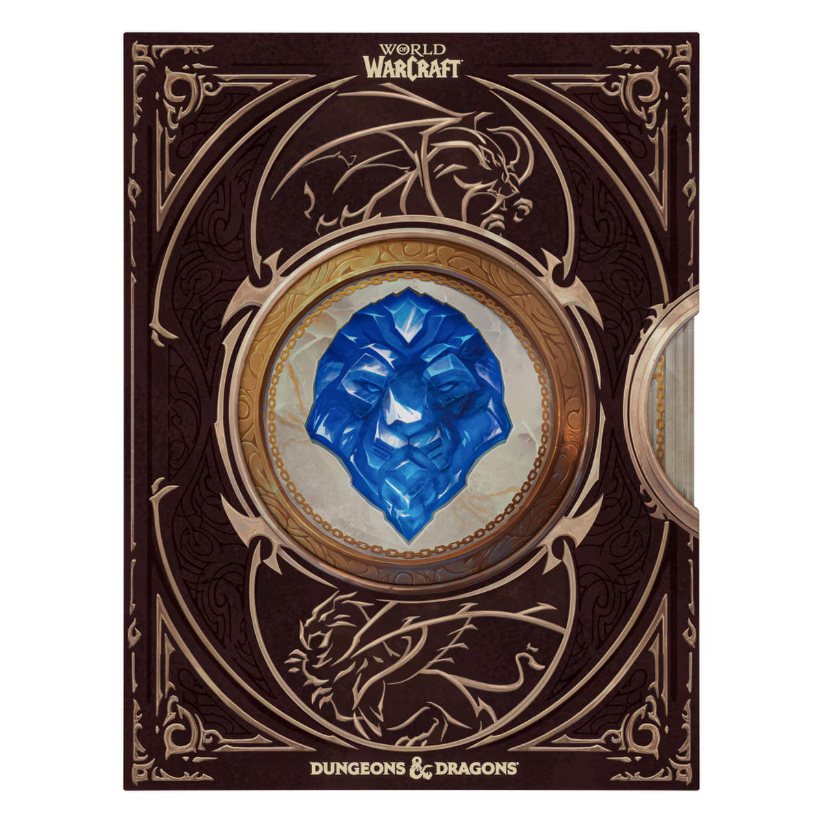 D&D: World of Warcraft - Collector's Edition
