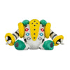 Pokémon Center: Regigigas Sitting Cuties Plush - 9 ½ In.