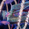 Satsuki, the Living Lore // Satsuki, the Living Lore (ANEO-005) - Neon Dynasty Art Series (Borderless) Foil